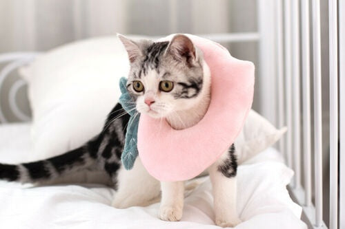 Adjustable Soft Pet Neck Cone – Comfortable Recovery Collar for Cats & Dogs