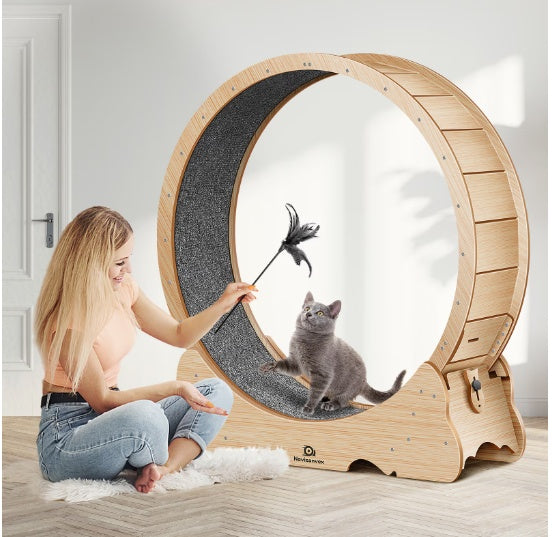 Cat Exercise Wheel Treadmill – Carpeted Indoor Running Toy for Active Cats