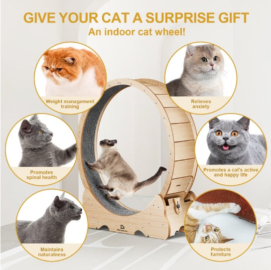 Cat Exercise Wheel Treadmill – Carpeted Indoor Running Toy for Active Cats