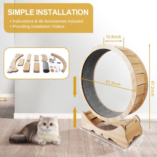 Cat Exercise Wheel Treadmill – Carpeted Indoor Running Toy for Active Cats