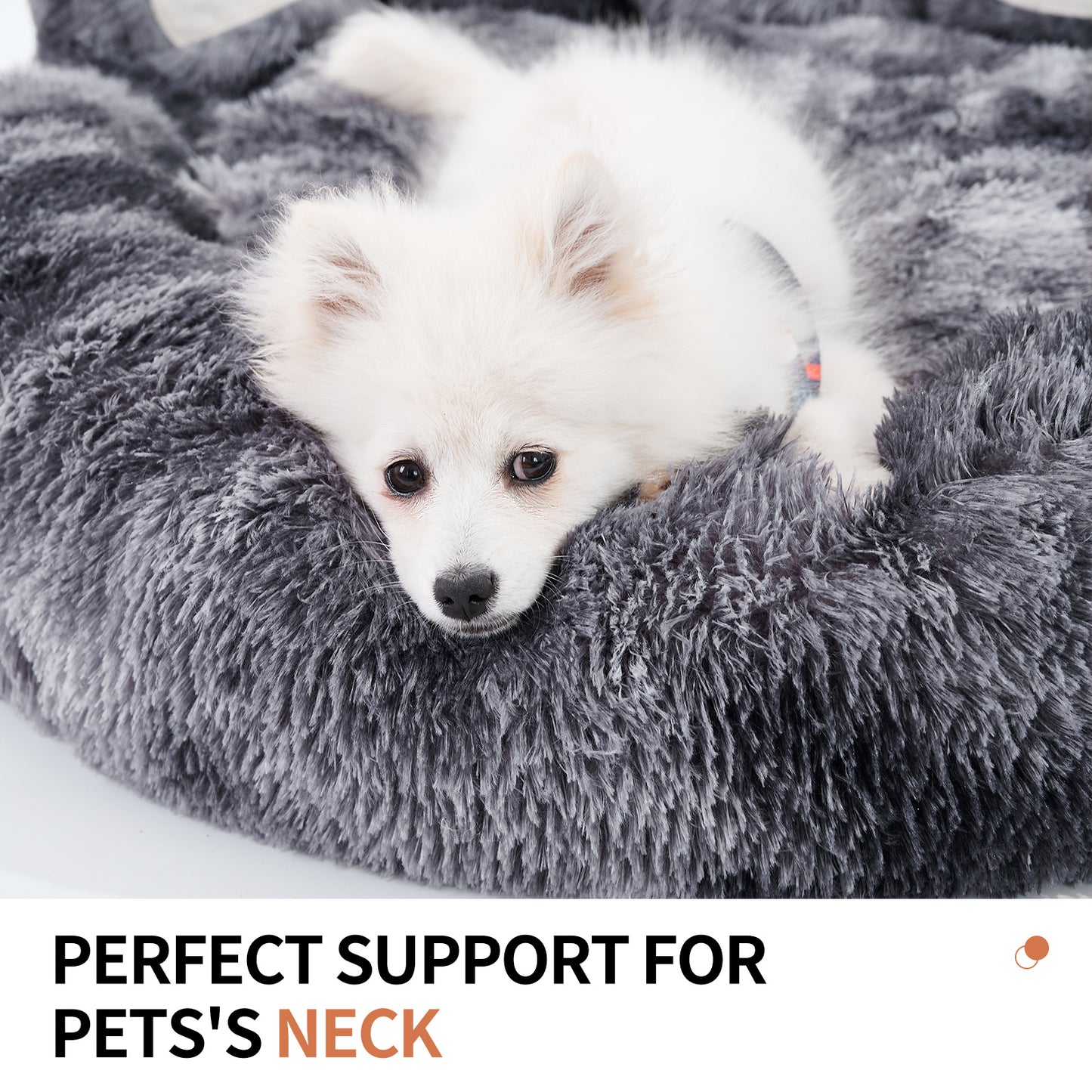 Bear Paw Plush Pet Bed – Cozy, Cute & Washable for Dogs & Cats
