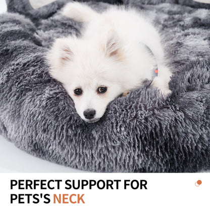 Bear Paw Plush Pet Bed – Cozy, Cute & Washable for Dogs & Cats