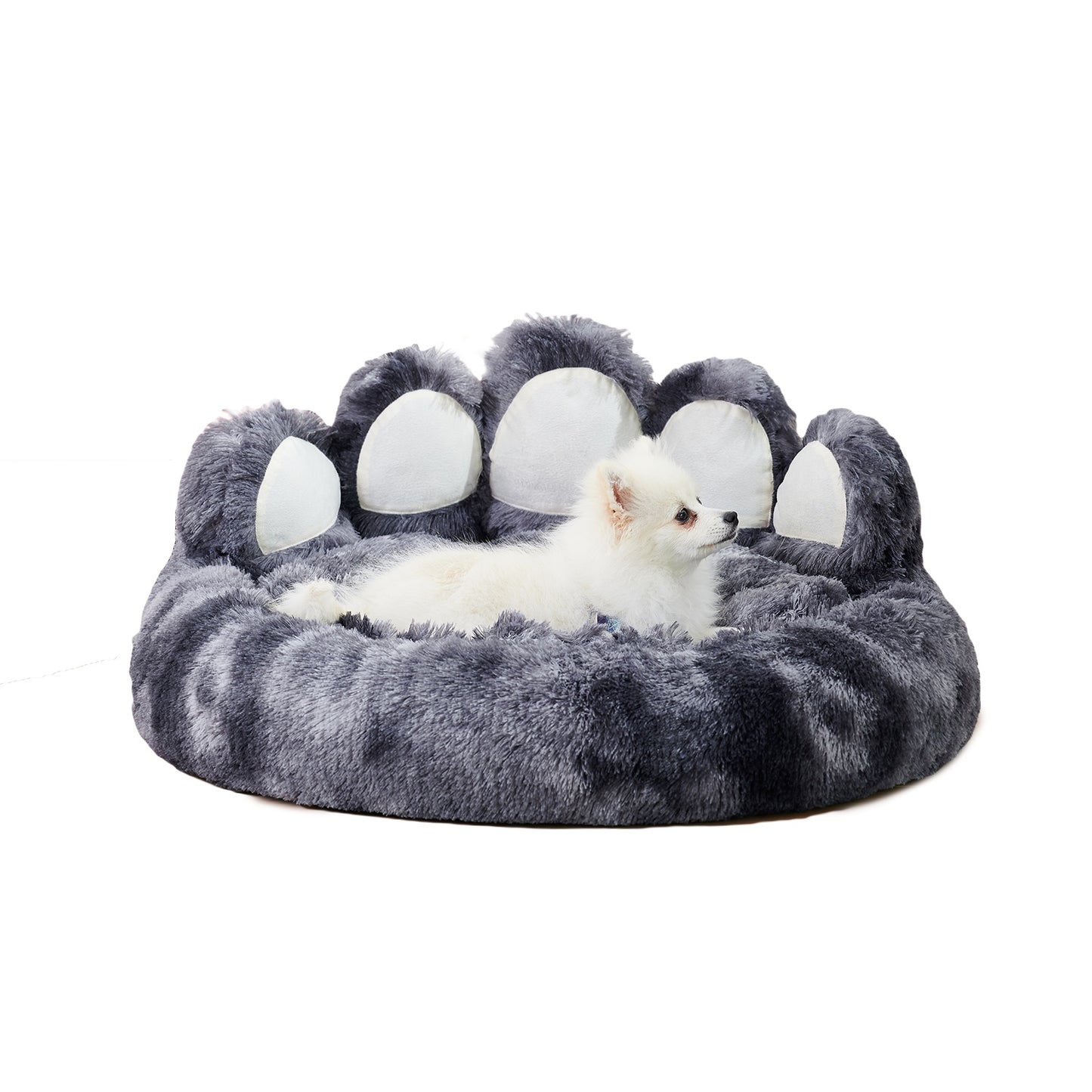Bear Paw Plush Pet Bed – Cozy, Cute & Washable for Dogs & Cats