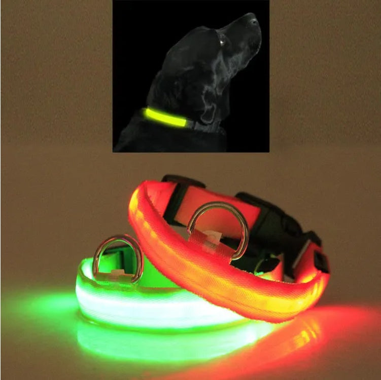 LED Pet Safety Collar – Adjustable Halo Light-Up Collar for Dogs & Cats