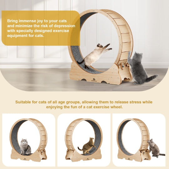 Cat Exercise Wheel Treadmill – Carpeted Indoor Running Toy for Active Cats