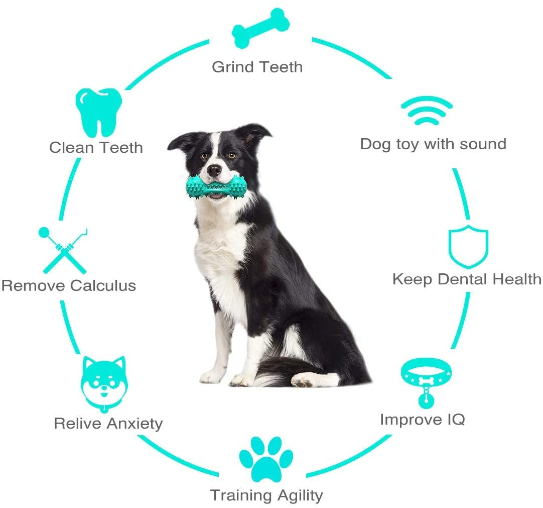 Durable Rubber Molar Stick – Cleaning Chew Toy for Aggressive Chewers