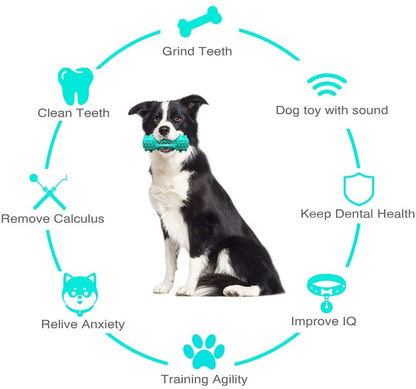 Durable Rubber Molar Stick – Cleaning Chew Toy for Aggressive Chewers
