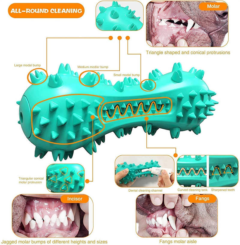 Durable Rubber Molar Stick – Cleaning Chew Toy for Aggressive Chewers