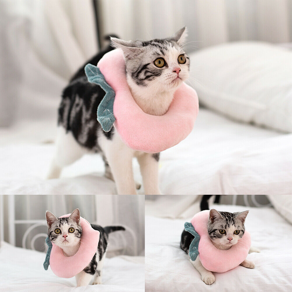 Adjustable Soft Pet Neck Cone – Comfortable Recovery Collar for Cats & Dogs