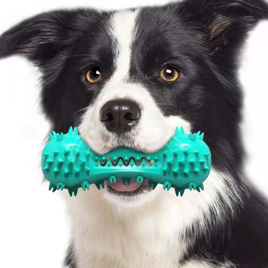 Durable Rubber Molar Stick – Cleaning Chew Toy for Aggressive Chewers