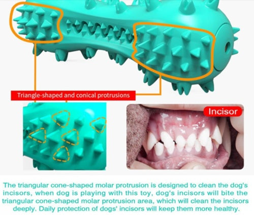 Durable Rubber Molar Stick – Cleaning Chew Toy for Aggressive Chewers
