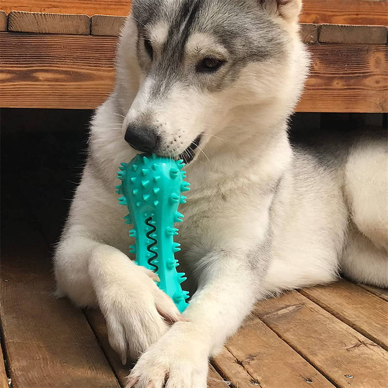 Durable Rubber Molar Stick – Cleaning Chew Toy for Aggressive Chewers