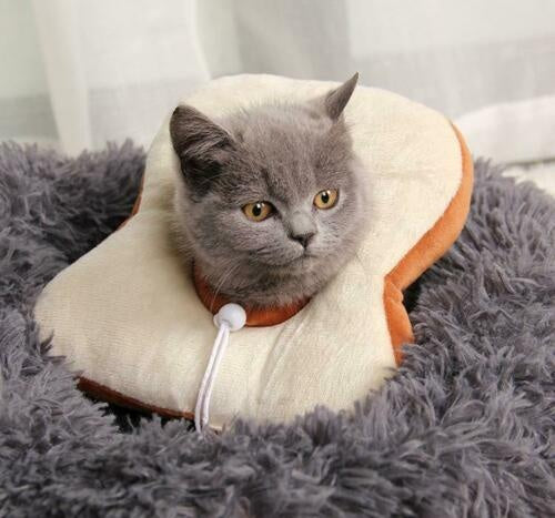 Adjustable Soft Pet Neck Cone – Comfortable Recovery Collar for Cats & Dogs